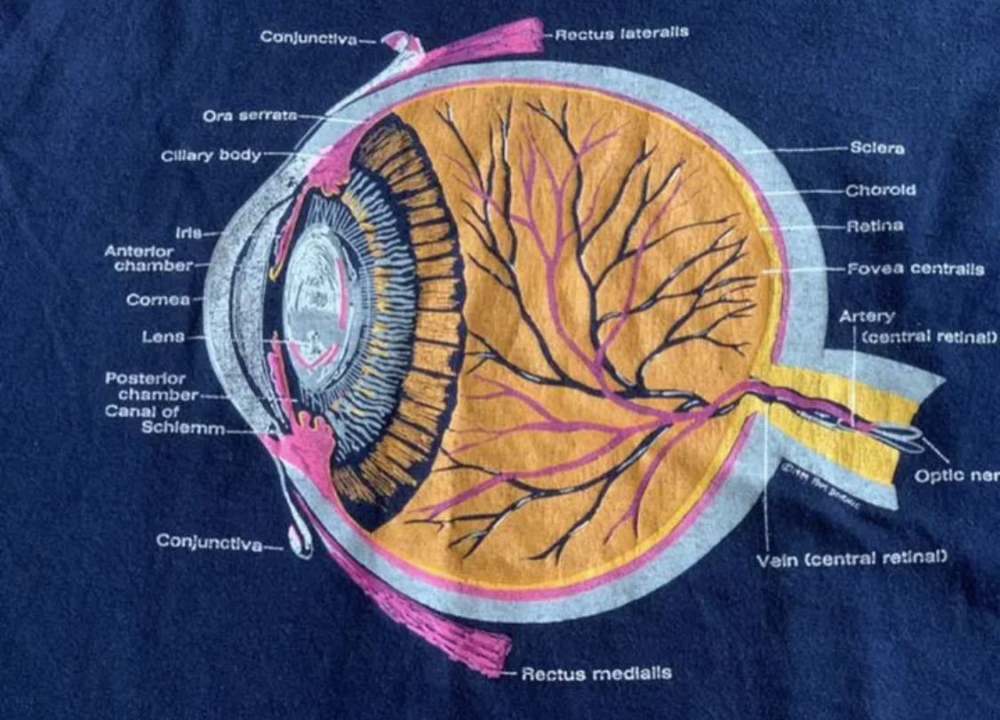 眼球 解剖図 Tシャツ 人体模型 アイボール NIRVANA カートコバーン-