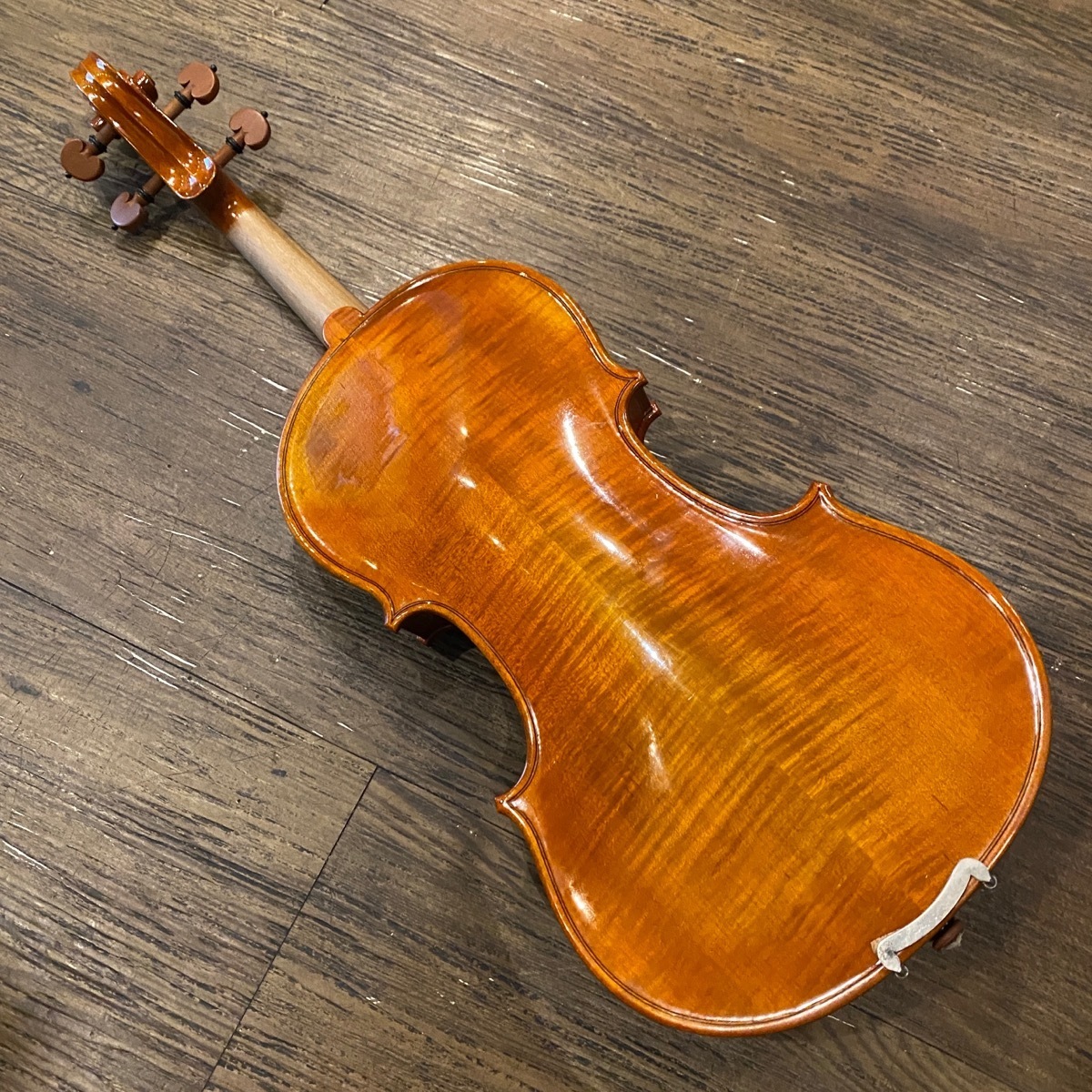 Carlo giordano VS  String Instrument カルロジョルダーノ