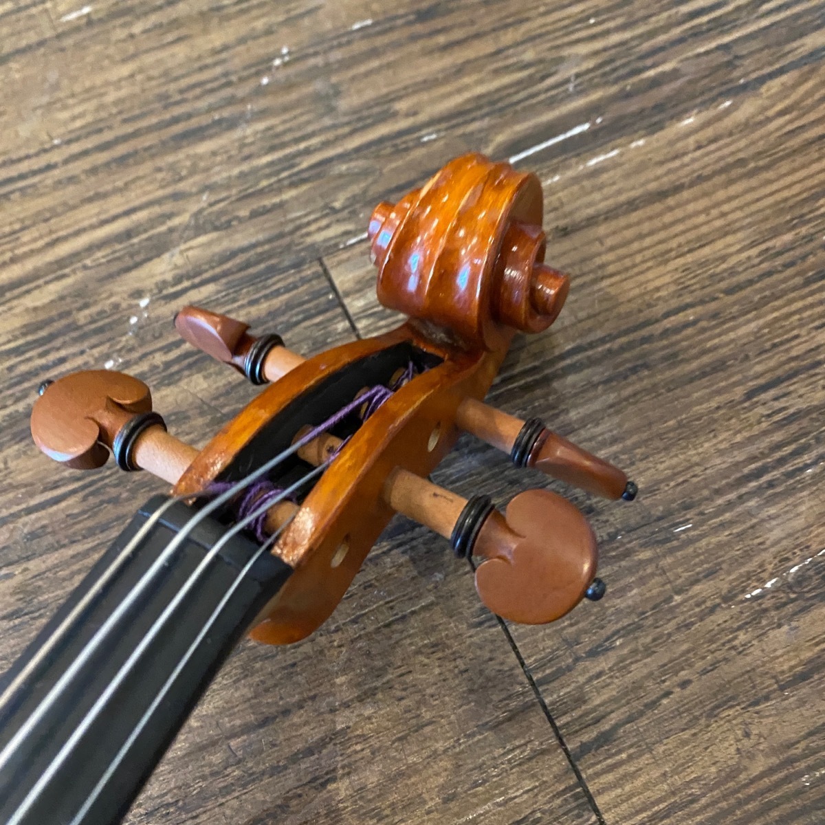 Carlo giordano VS-2 3/4 String Instrument カルロジョルダーノ