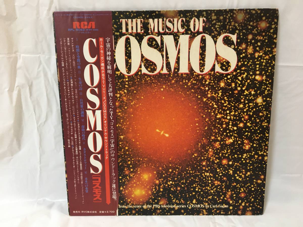 当店だけの限定モデルコスモス COSMOS LPレコード 洋楽 | socearq.org