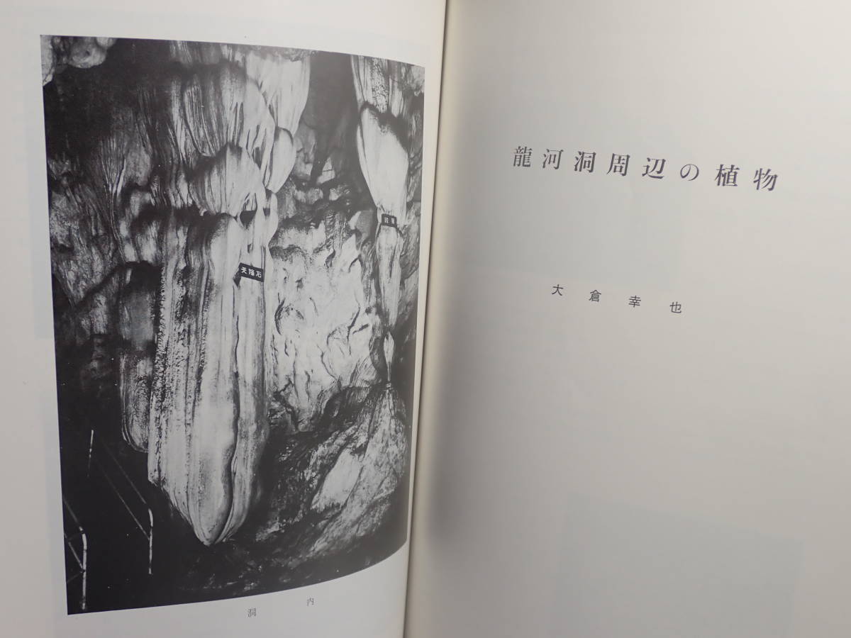 龍河洞　昭和49年1月改訂発行　龍河洞保存会　94P　高知県_画像9