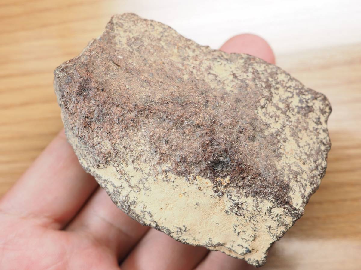 安いショッピング M0049 石質隕石 Jah055 Oman 原石 219gr 安い直営店 Niil In