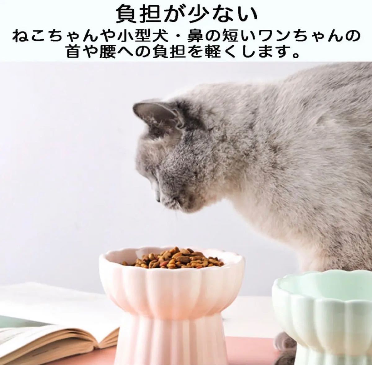 猫 食器 猫皿 陶器 2個 セット 水 食べやすい 浅広口 フードボウル ペット ネコ ねこ ブルー グリーン