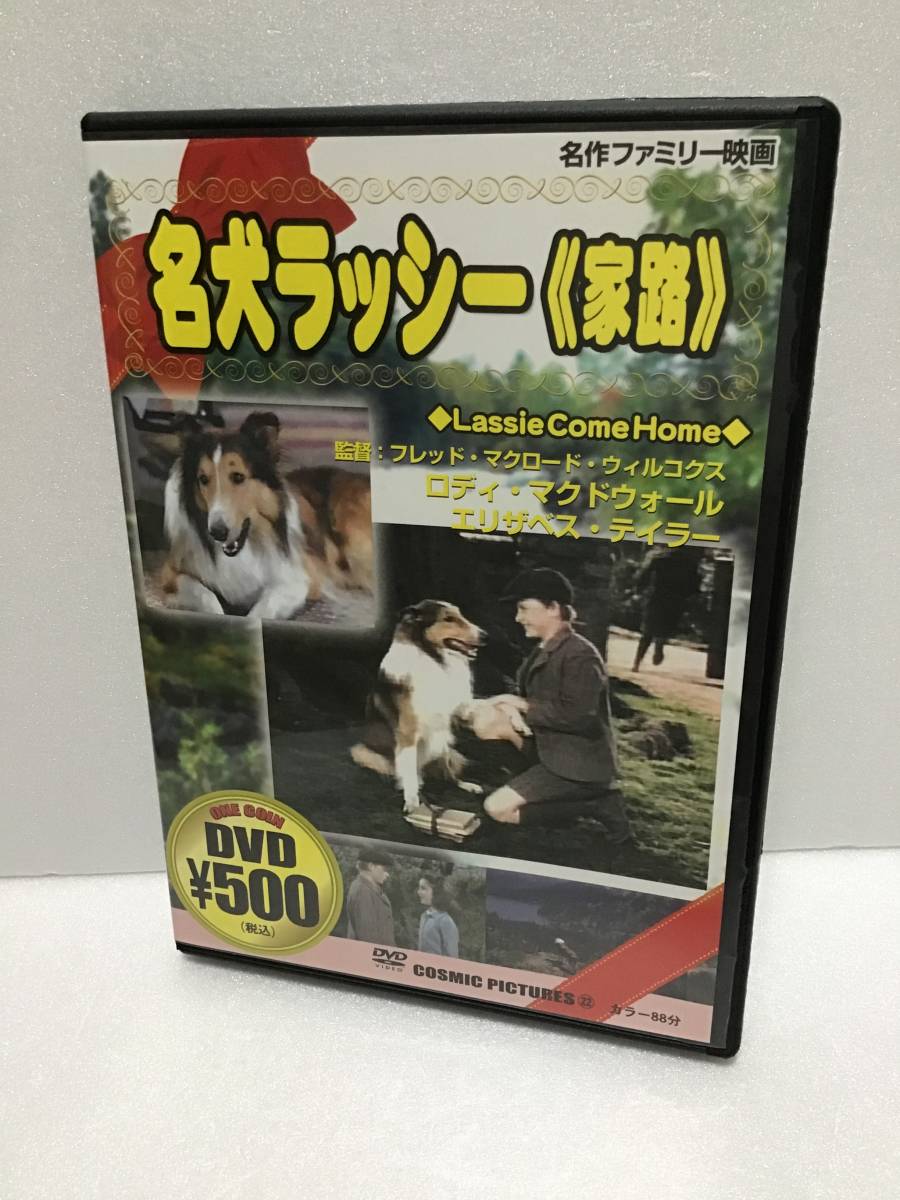 即決！ DVD セル版 名犬ラッシー 家路 送料無料！_画像1