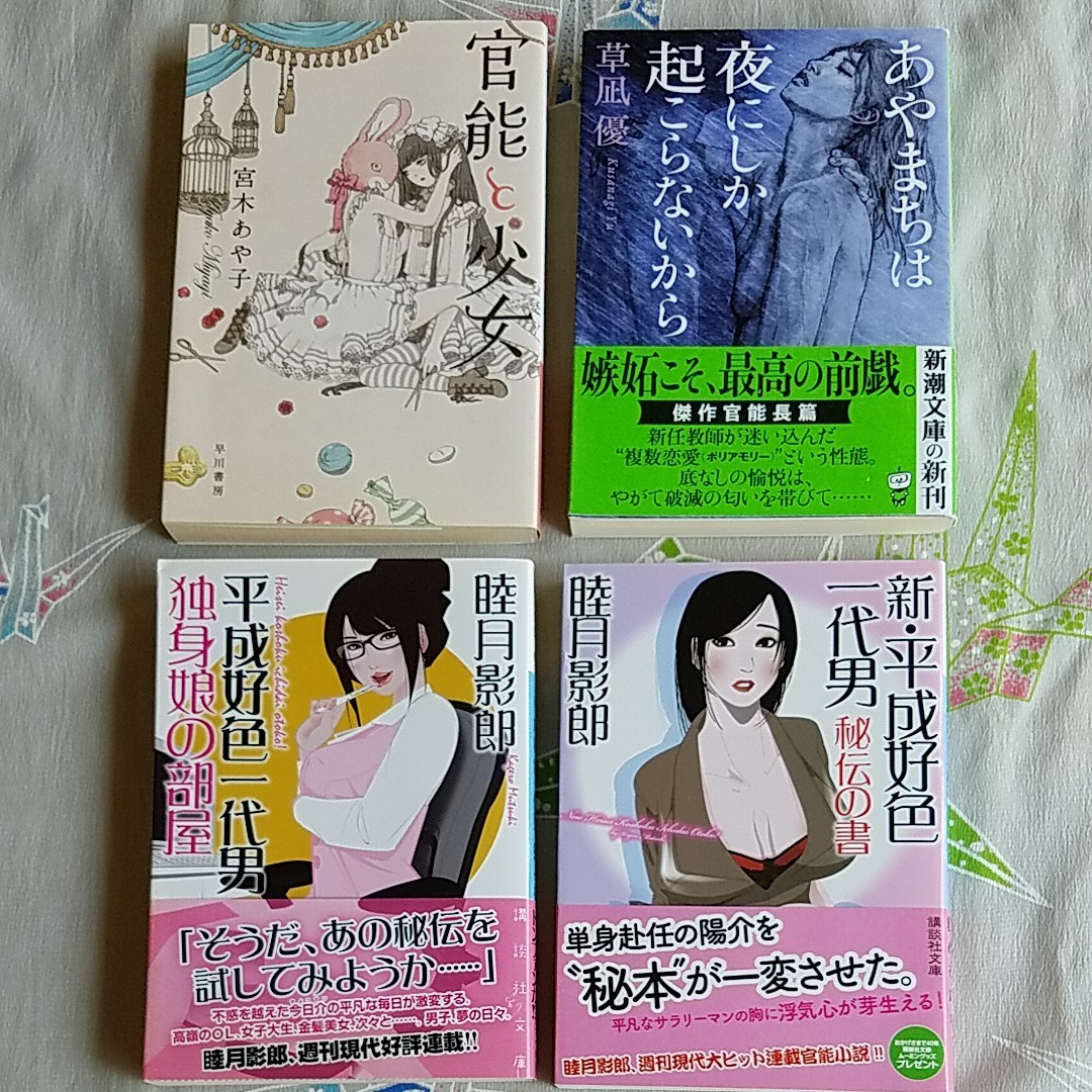 包装無料/送料無料 官能小説 ４冊 官能小説 4冊セット 本