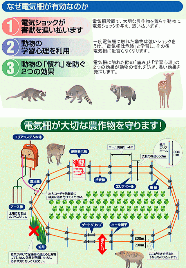 [特売] アポロ 電気柵セット 3反張り AP-3TAN50-Y (500m×2段/ヨリ線/エリアポール) [電柵]/[送料無料]_画像3