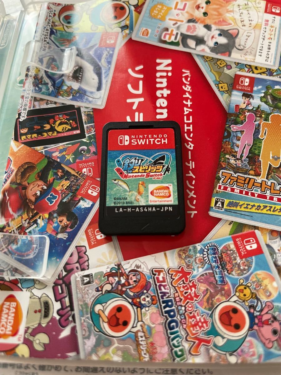 釣りスピリッツ　switch ソフト