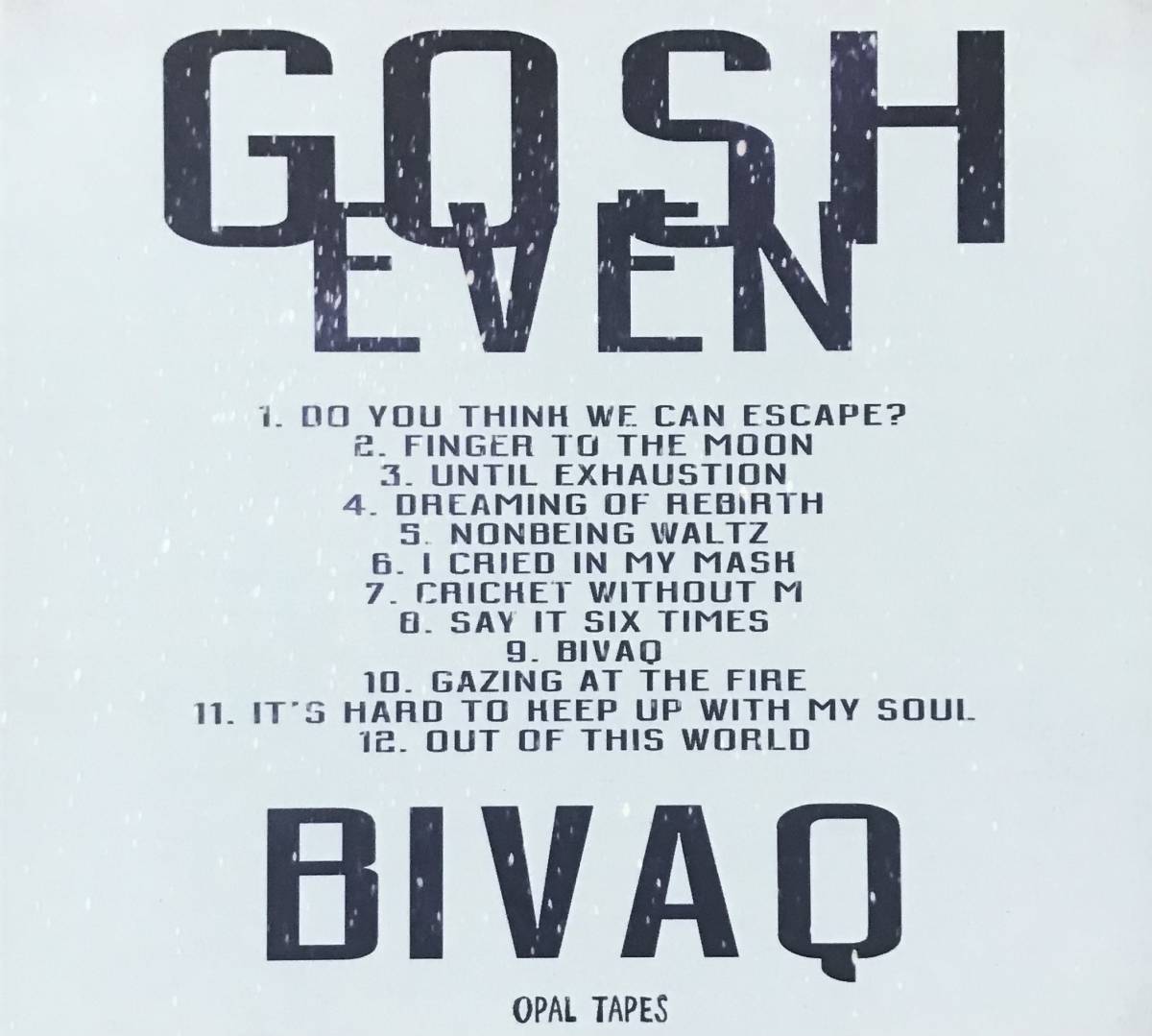 [ CD ] Gosheven / Bivaq ( Ambient / Avantgarde ) Opal Tapes メランコリック ギター アンビエント_画像2