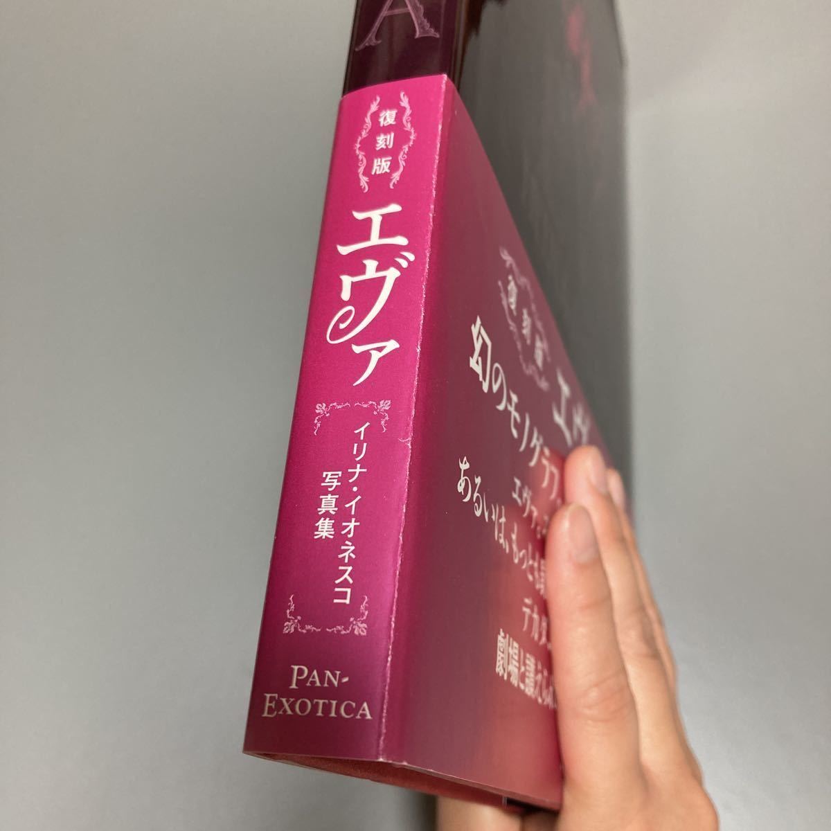 イリナ・イオネスコ 写真集【復刻版エヴァ】古本古書 2011年第1刷 カバー帯 キズ折れ汚れ アート写真 芸術_画像7