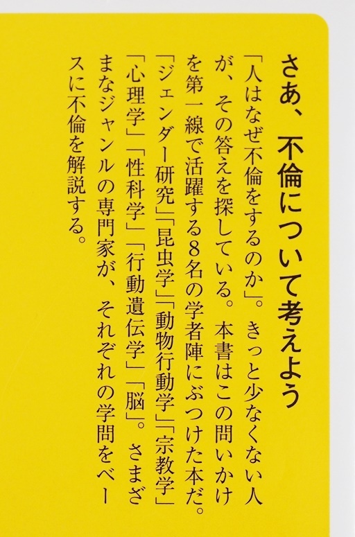 ★送料無料★ 『人はなぜ不倫をするのか』 倫理観 道徳感 亀山早苗 上野千鶴子 丸山宗利 竹内久美子 島田裕巳 池谷裕二 宋美玄