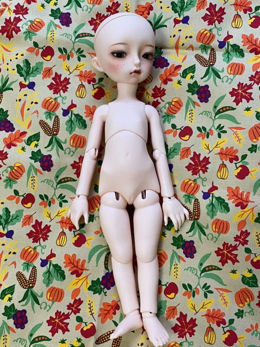 imda3.0 babette 本体一式 (ウィッグ、グラスアイ付き) | www