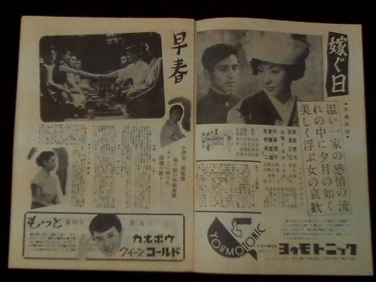 早 春、他 （松竹ウィークリー） 映画パンフレット 1956年 B5判 小津安二郎 池部良 岸恵子　併映は「大当り男一代」_画像2