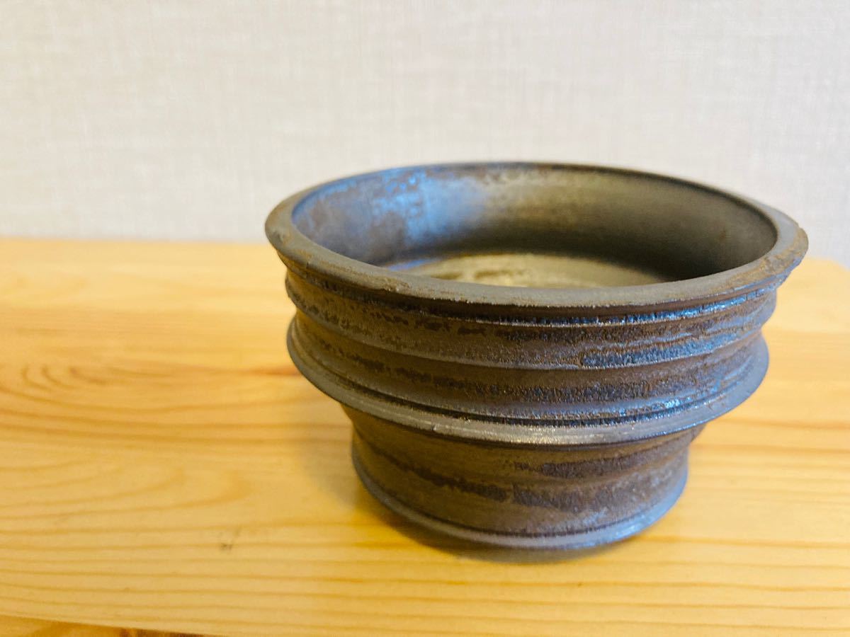 Y鉢 】作家 菊地享 13センチ/ 検索 / コーデックス 塊根植物 Y鉢 】作家 菊地享 13センチ/ 検索 / コーデックス 塊根植物