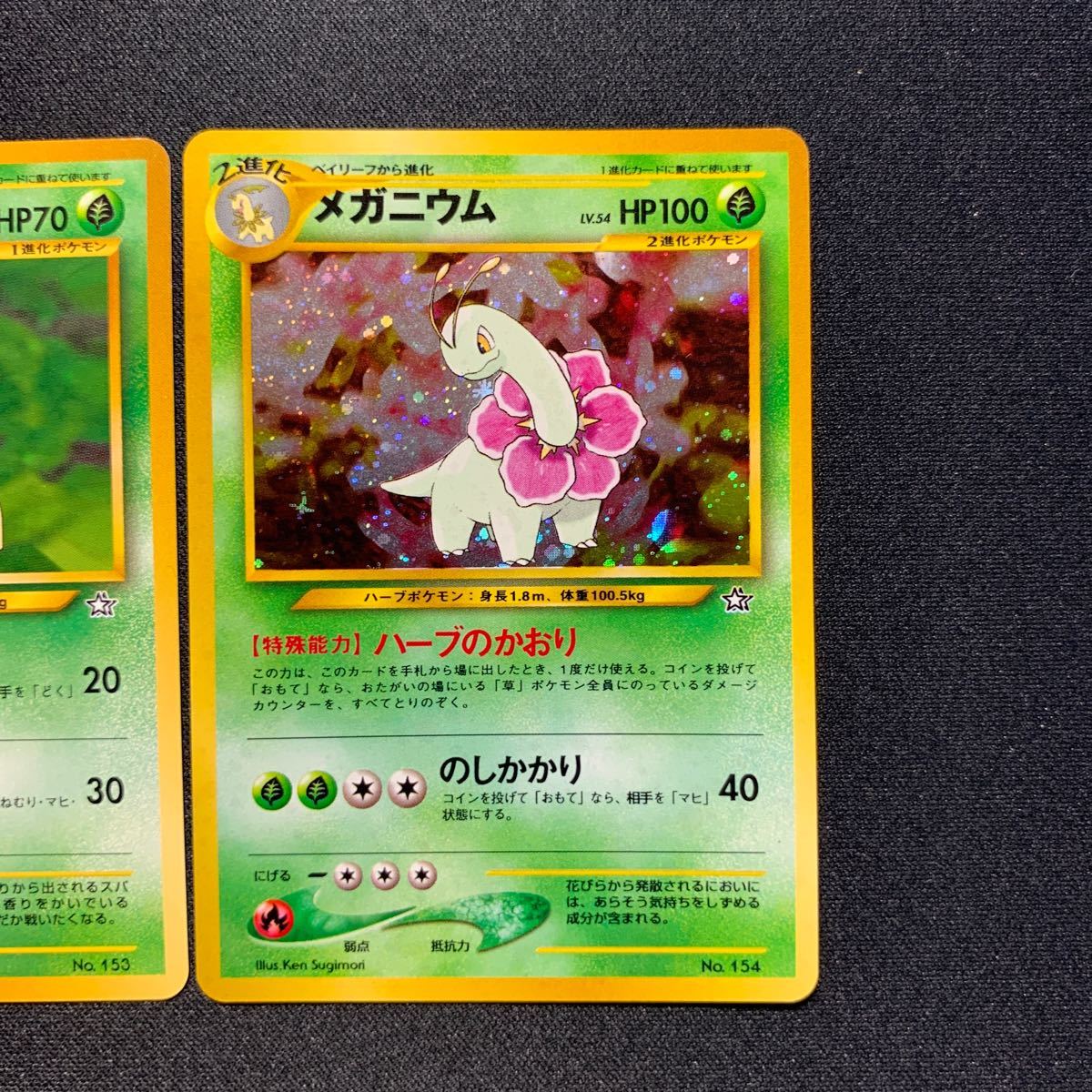 ポケモンカードゲーム 旧裏面 チコリータ進化3枚set|Yahoo ポケモンカードゲーム 旧裏面 チコリータ進化3枚set|Yahoo