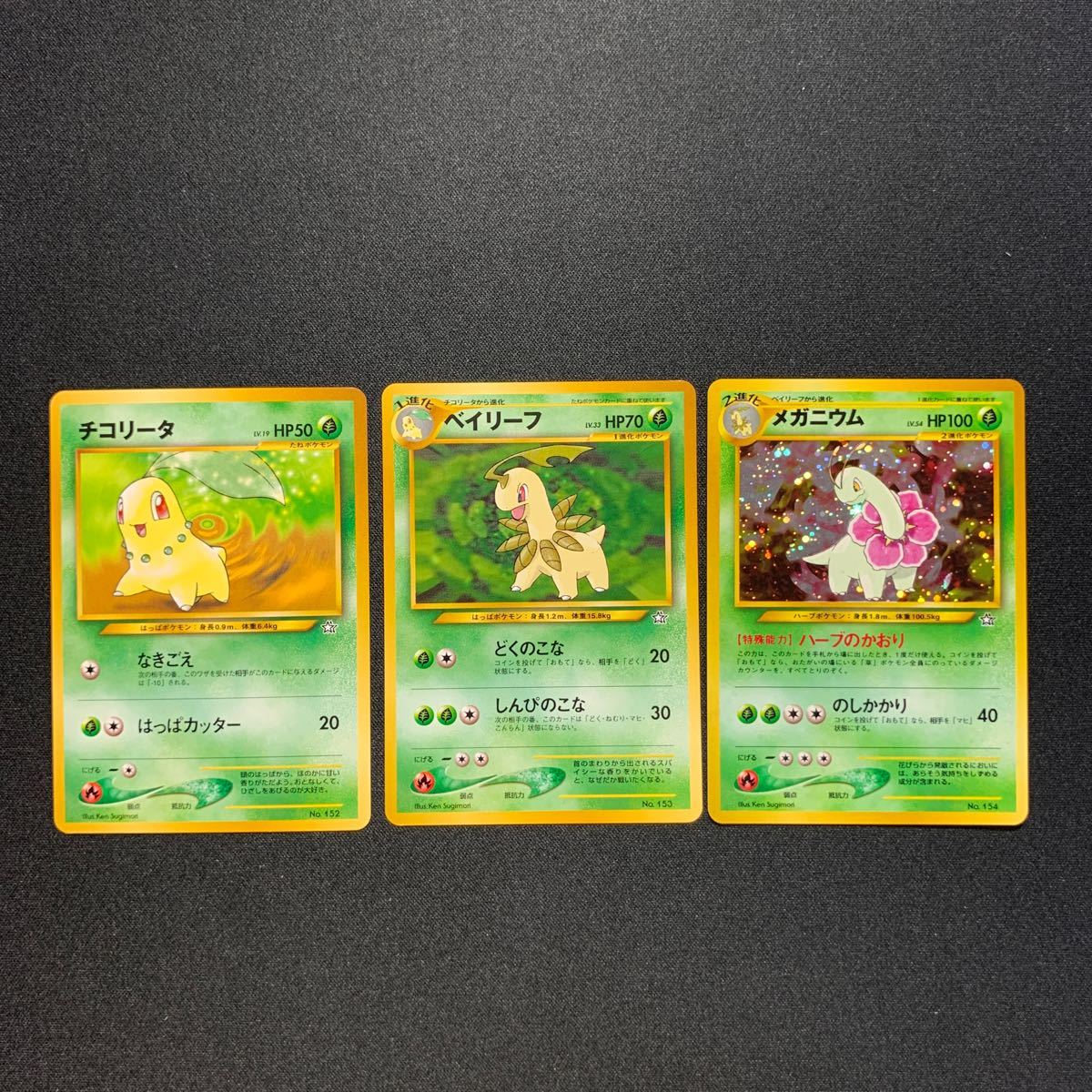 ポケモンカードゲーム 旧裏面 チコリータ進化3枚set|Yahoo ポケモンカードゲーム 旧裏面 チコリータ進化3枚set|Yahoo