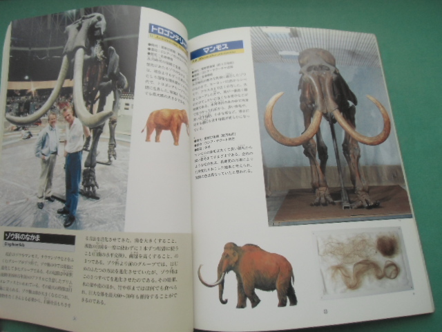 特別展　　絶滅した大哺乳類たち　読売新聞社　1995年_画像2