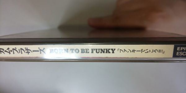 【CD】 バブルガム・ブラザーズ / BORN TO BE FUNKY 「ファンキーでいこう!!」_画像3