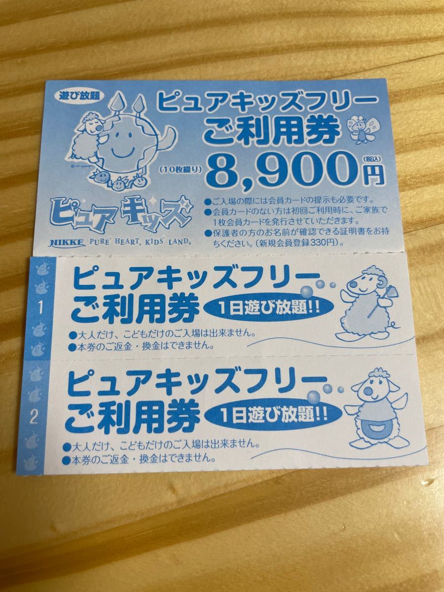 ピュアキッズ フリー 1日券 10枚綴り - 遊園地・テーマパーク