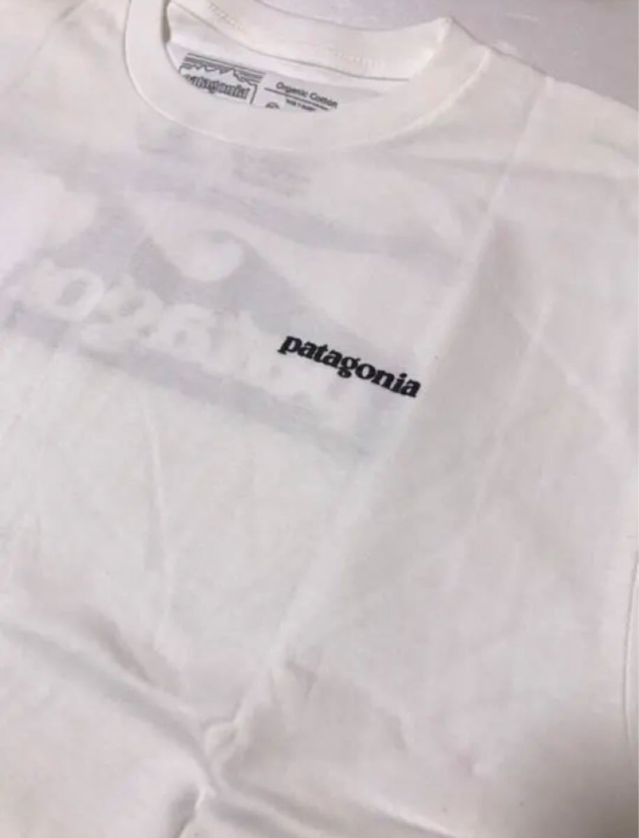 新品 patagonia パタゴニア 半袖Tシャツ デイリーグラフィック 白 L
