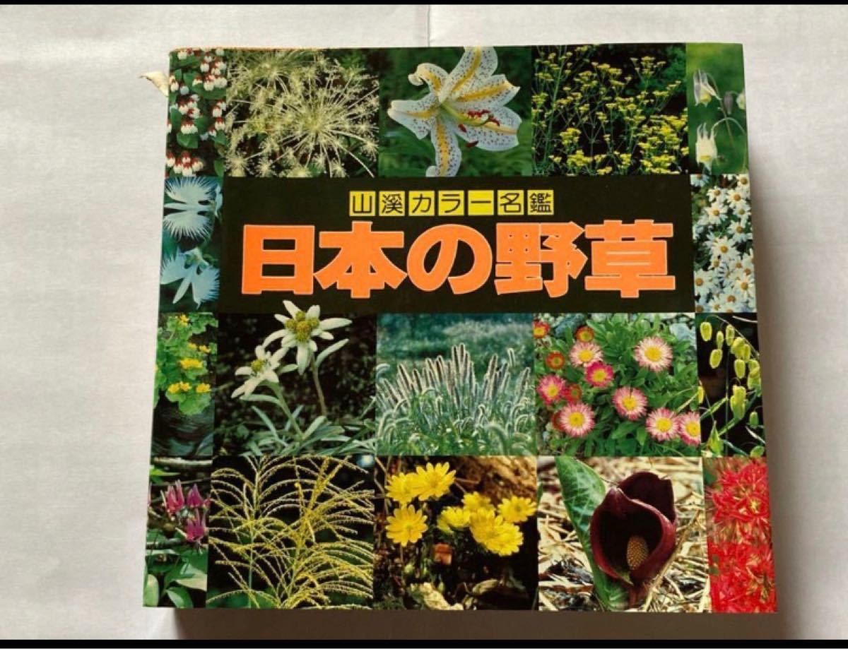 Paypayフリマ 日本の野草 山渓カラー名鑑 林弥栄 山と渓谷社 図鑑 事典 廃盤 美品 Paypayフリマ 日本の野草 山渓カラー名鑑 林弥栄 山と渓谷社 図鑑 事典 廃盤 美品