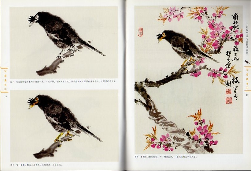 ヤフオク 写意禽鳥1 鳥の描き方を教える 新 ヤフオク 写意禽鳥1 鳥の描き方を教える 新