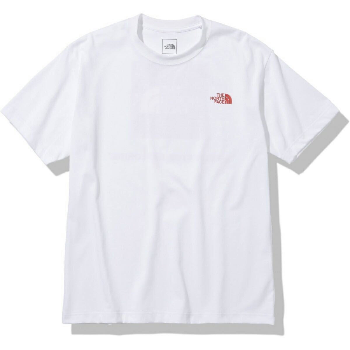 THE NORTH FACE: バックバンダナスクエアーロゴ Tシャツ　Lサイズ