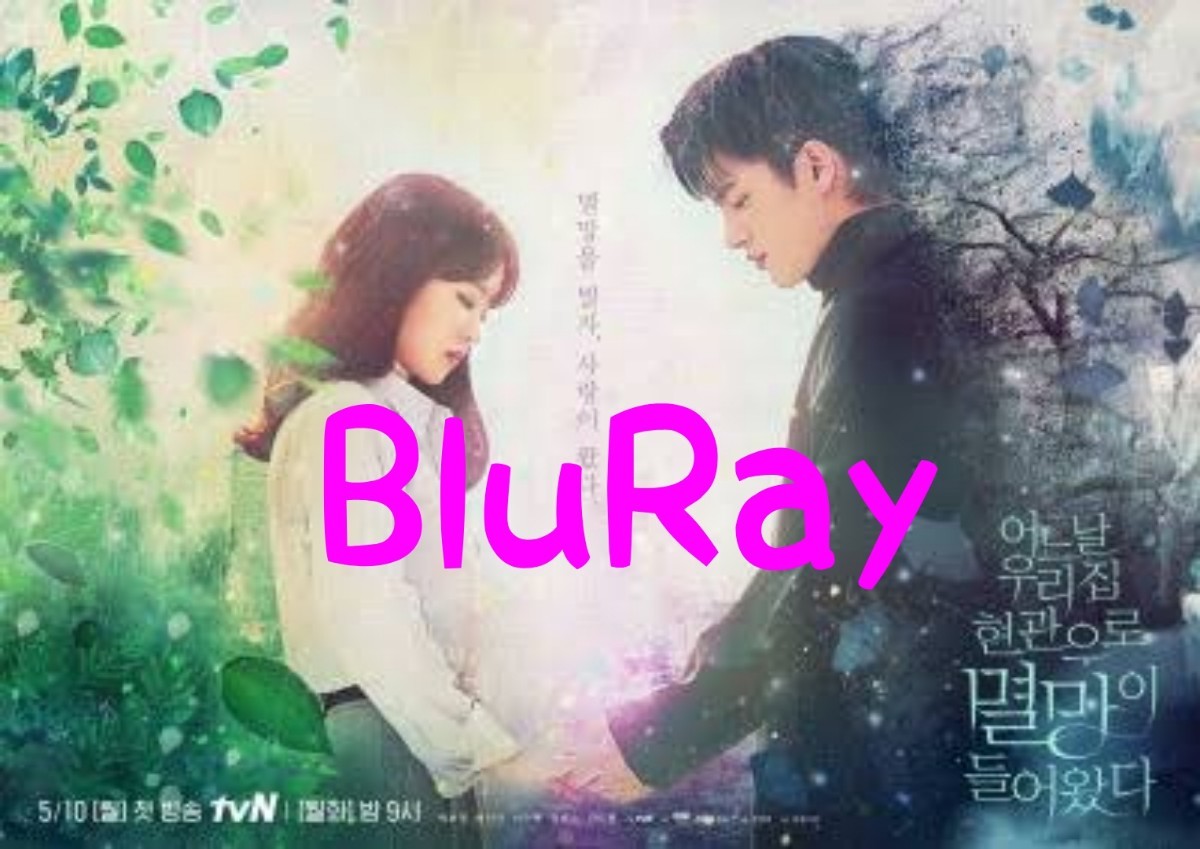 ある日、私の家の玄関に滅亡が入ってきた BluRay 全話 韓国ドラマ