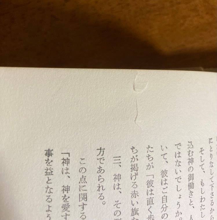 神もし我らの味方ならば　／　ポーロ・S・リース　／　訳者：松代幸太郎　／　発行所：いのちのことば社_画像8