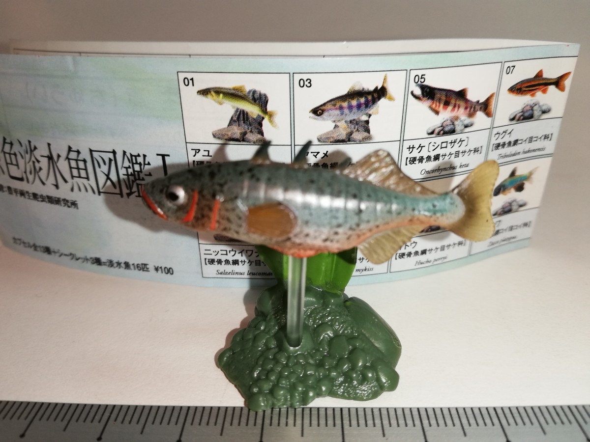 ユージン 原色淡水魚図鑑Ⅰ 初版 イトヨ|Yahoo!フリマ(旧 ユージン 原色淡水魚図鑑Ⅰ 初版 イトヨ|Yahoo!フリマ(旧