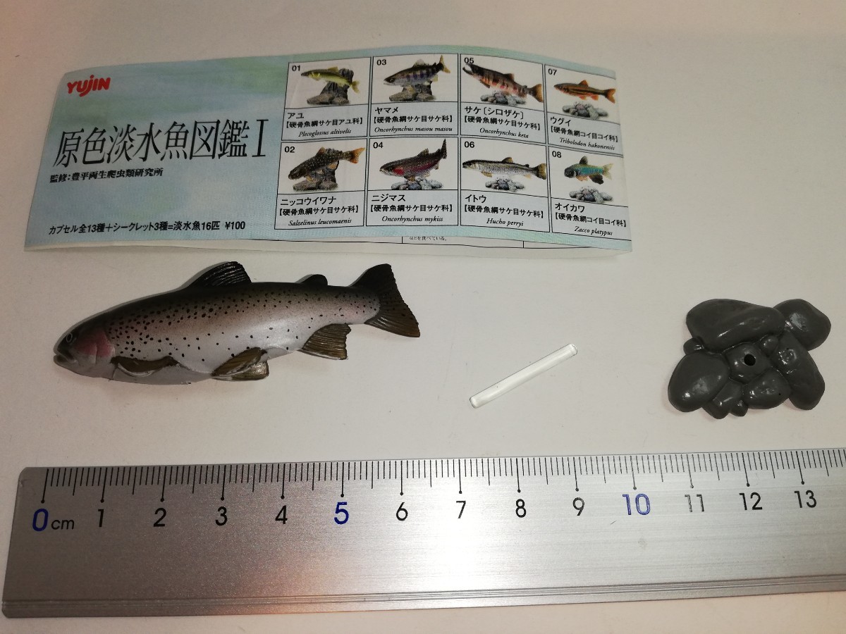 ユージン 原色淡水魚図鑑Ⅰ 初版 ニジマス|Yahoo!フリマ(旧 ユージン 原色淡水魚図鑑Ⅰ 初版 ニジマス|Yahoo!フリマ(旧