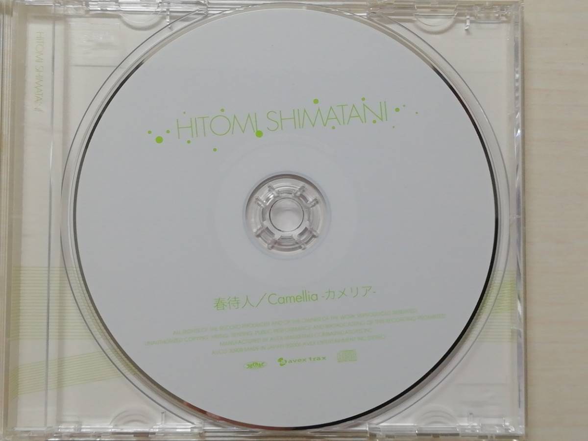 春待人／Camellia -カメリア-　島谷ひとみ　CDシングル_画像3
