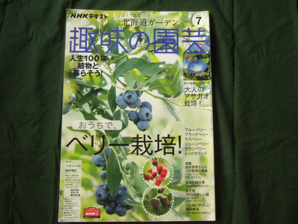 付録無し　趣味の園芸　2020年7月　おうちでベリー栽培_画像1