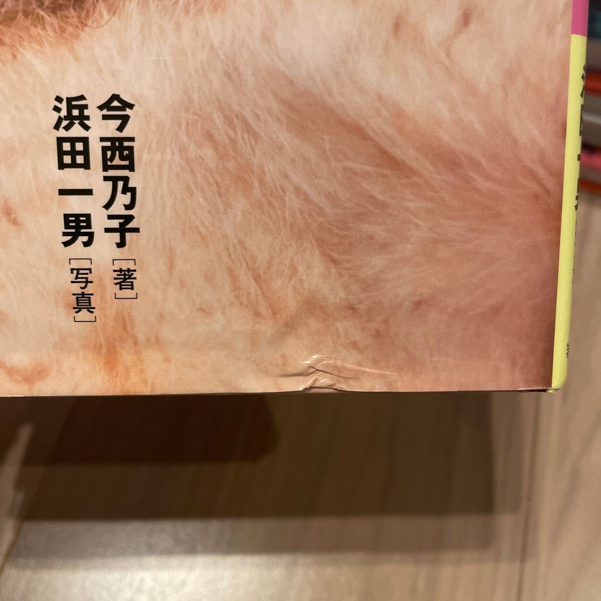 岩崎書店　今西乃子　きららのいのち　課題図書　読書感想文　3年生　