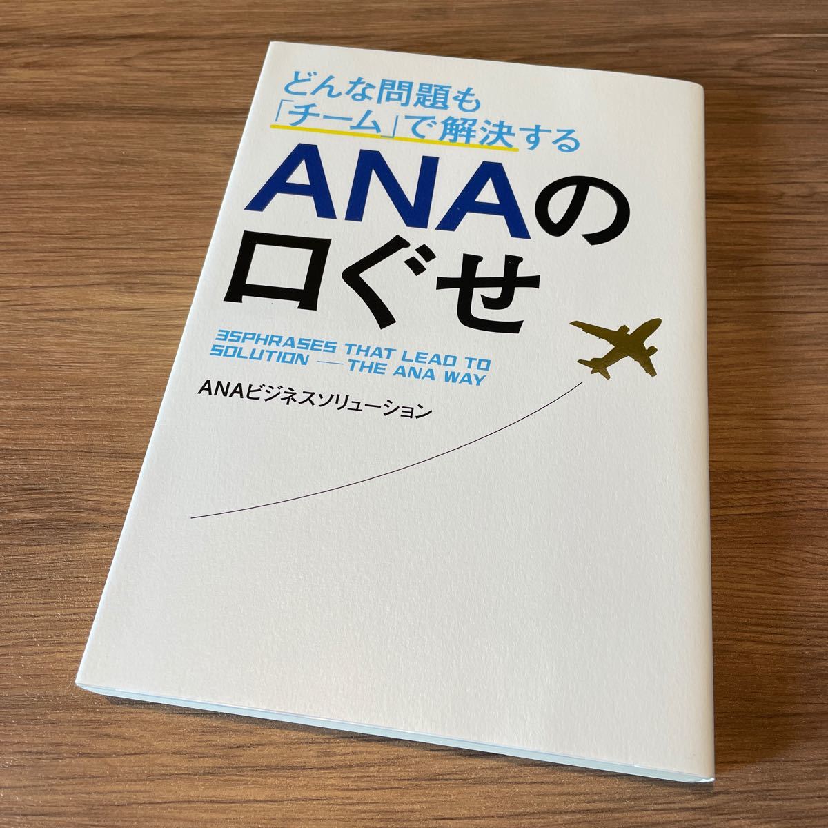 どんな問題も 「チーム」 で解決するANAの口ぐせ/ANAビジネスソリューション