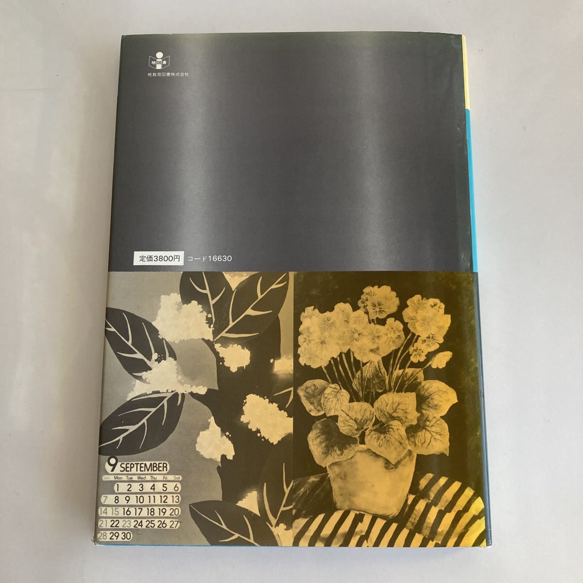 ◇送料無料◇ 表現指導の理論と実際 中学校美術科 竹内博／長嶋孝夫 編著 暁教育図書 ♪GM01_画像10