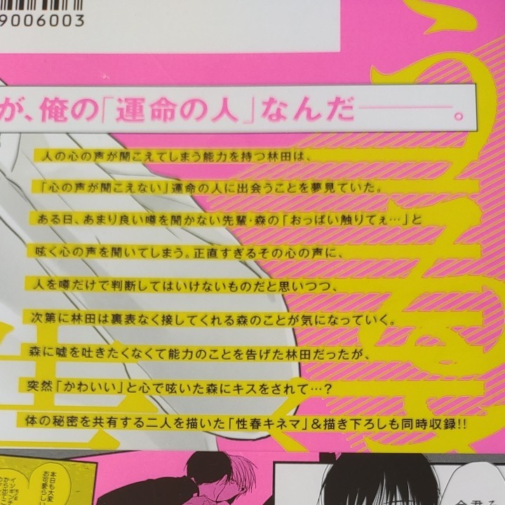 BL さちも うるさいくらいの告白下さい　堕天使　歩田川和果