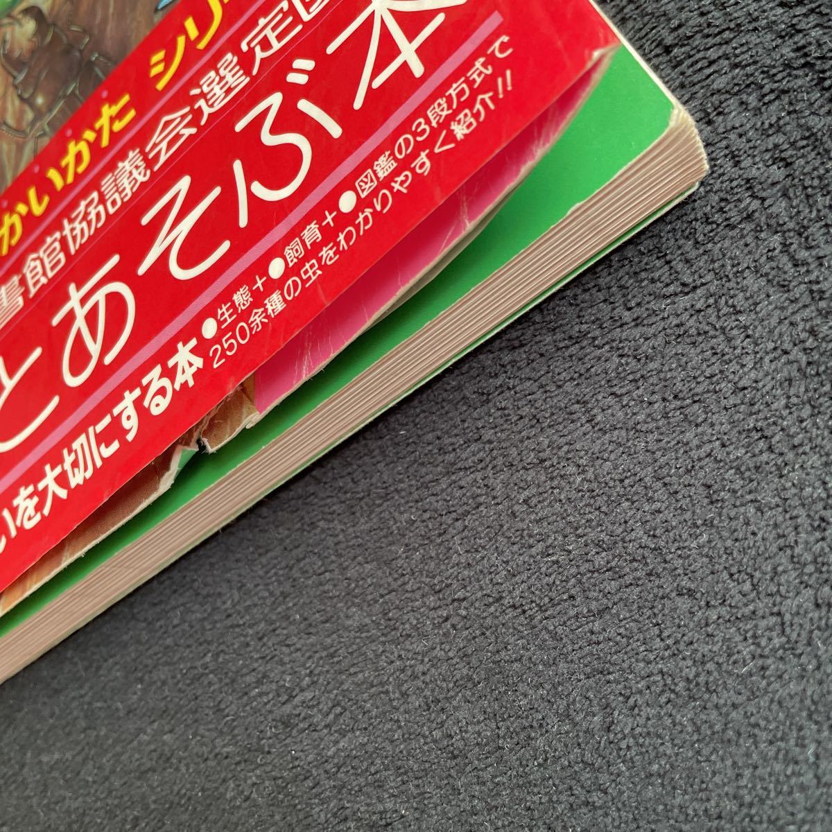 むし　くらしとかいかた　ひかりのくに　全国学校図書館協議会選定図書　　1983 昆虫学者も絶賛_画像5