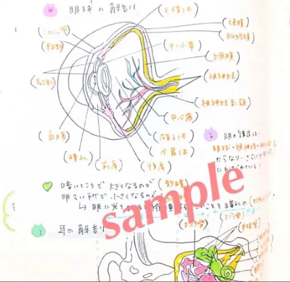 看護師国家試験 付箋ノート＆解剖生理ノート set