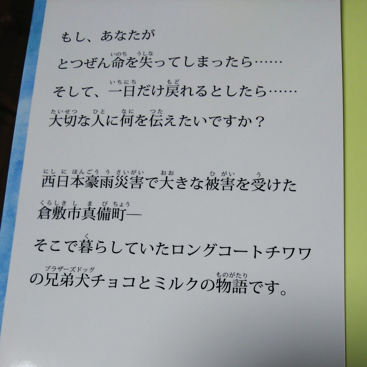 西日本豪雨災害を語り継ぐ絵本  【ブラザーズドッグ】