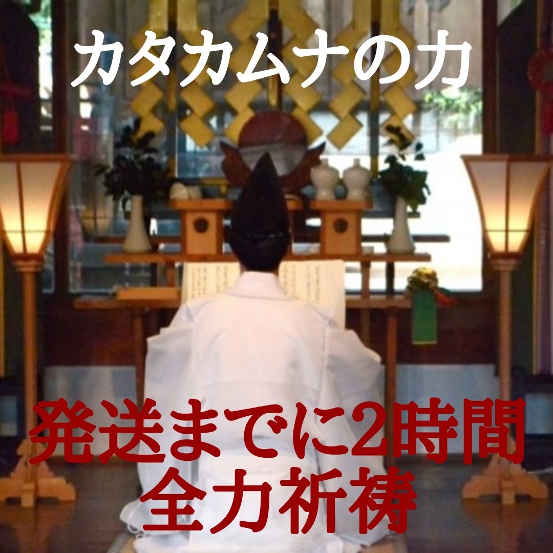 金運龍神 天之御中主 ギャンブル 宝くじ 金運 風水 財布 金運龍神 天之御中主 ギャンブル 宝くじ 金運 風水 財布
