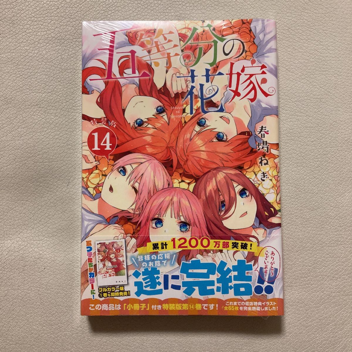 Paypayフリマ 新品 五等分の花嫁 特装版 14巻 春場ねぎ Paypayフリマ 新品 五等分の花嫁 特装版 14巻 春場ねぎ