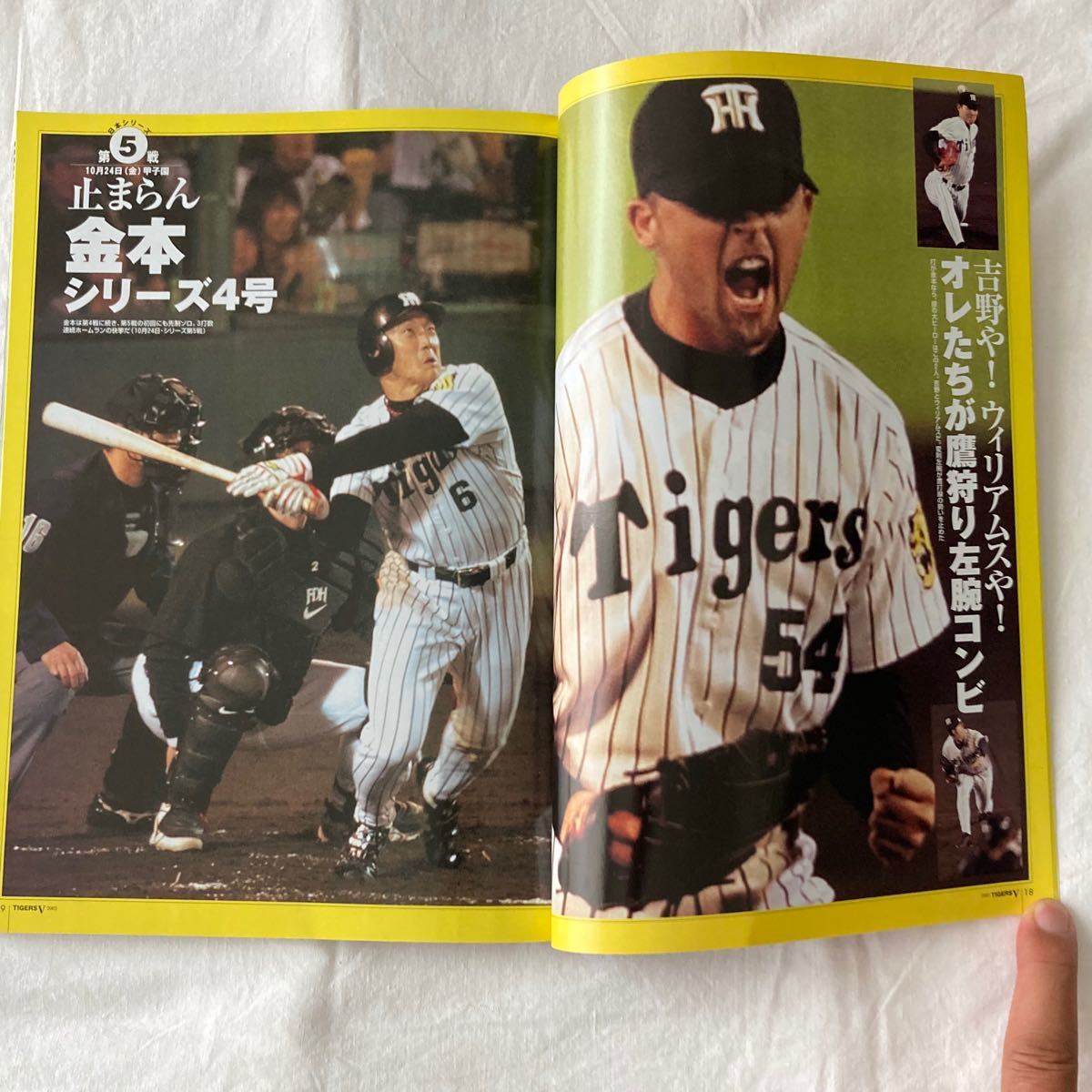 希少！阪神タイガース優勝の記録　星野監督保存版　写真集　掛布バース岡田