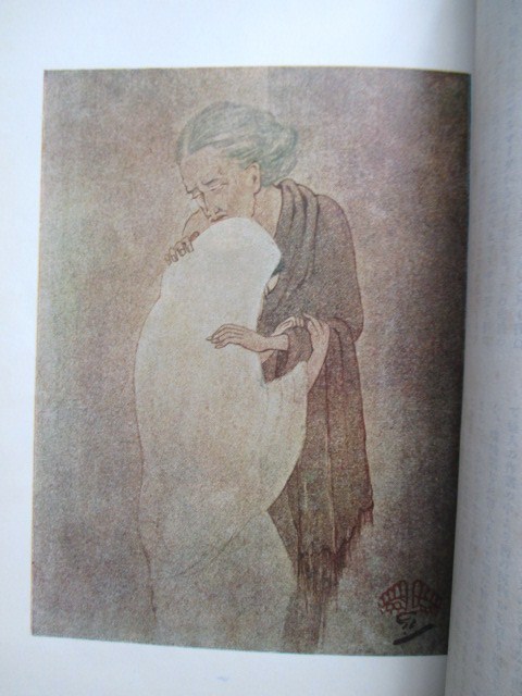 売れ筋 ビュフォン全集 博物誌 5冊セット 手彩色版画 1835年