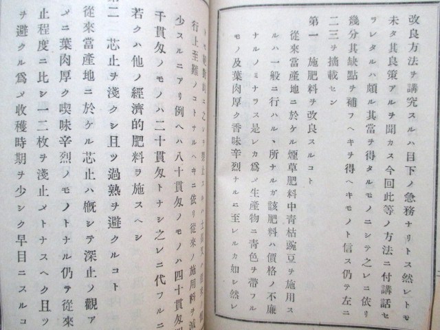 甲斐国山梨県◆煙草講話及試作成績報告◆明治３９非売品◆タバコ栽培東京専売局飯野出張所文明開化農学肥料専売公社専売制和本古書_画像3