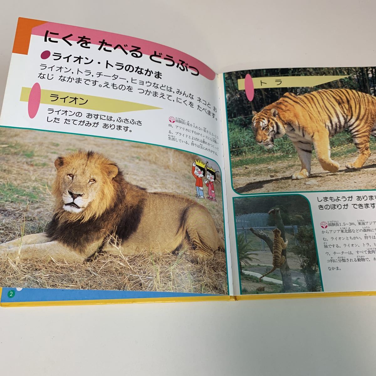 item_image_4