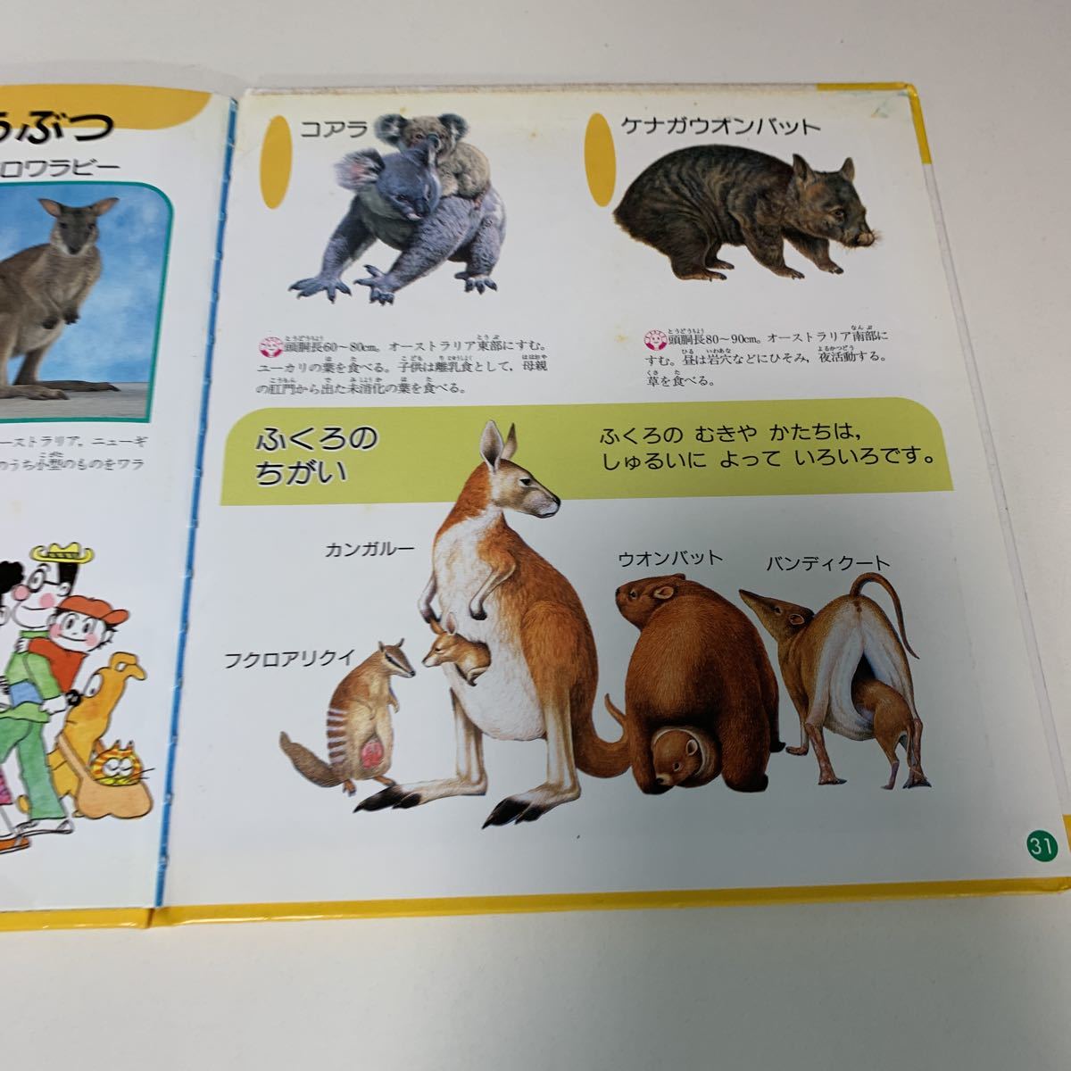 item_image_5