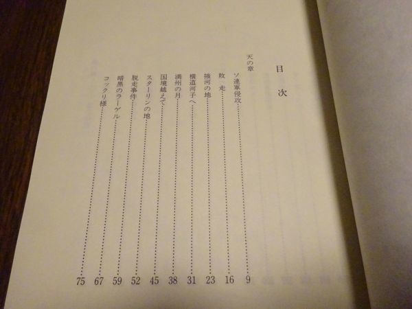 西田市次『追想の捕虜記ーある兵士の記録』生涯学習研究社　平成5年初版　シベリア抑留体験記_画像2