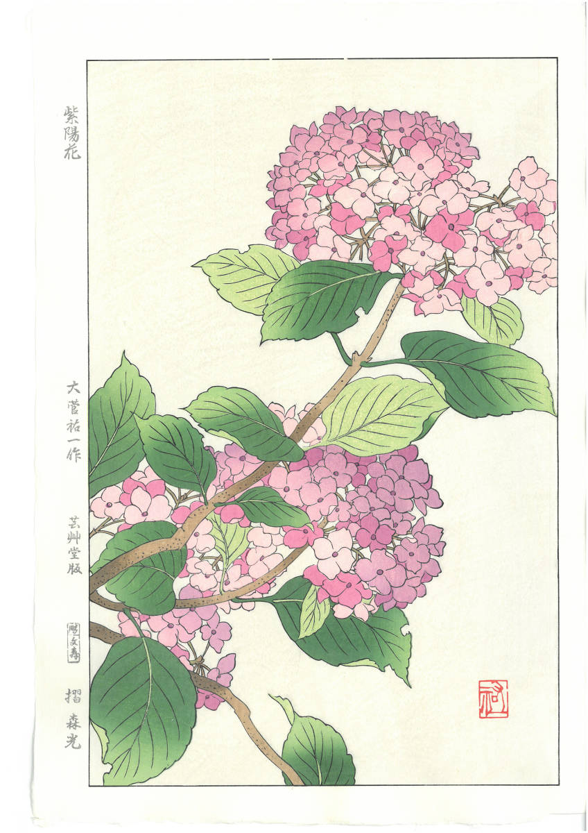 大菅祐一 (Osuga Yuichi) (1939~) 木版画 F178 紫陽花 初版昭和