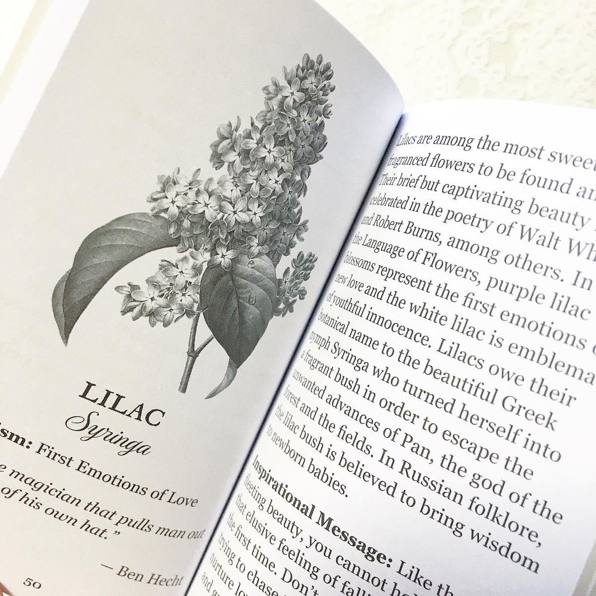 新品未使用*ボタニカルインスピレーション オラクルカード*Botanical Inspirations Deck*