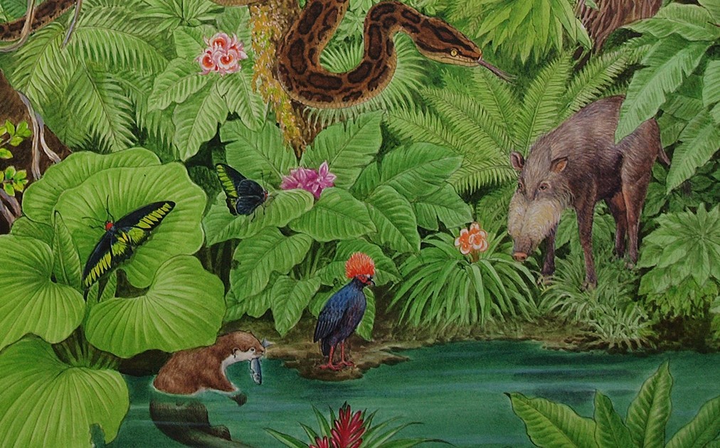 【絵画】「熱帯アジアの生き物」　細密画　真作